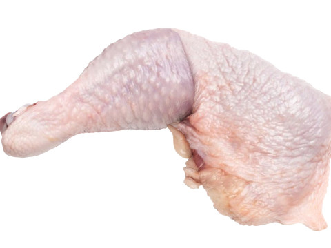 Chicken Thigh 3D Model