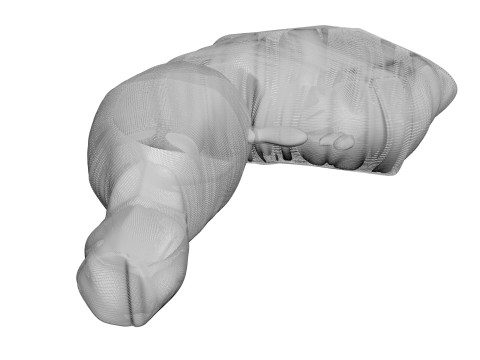 Chicken Thigh 3D Model