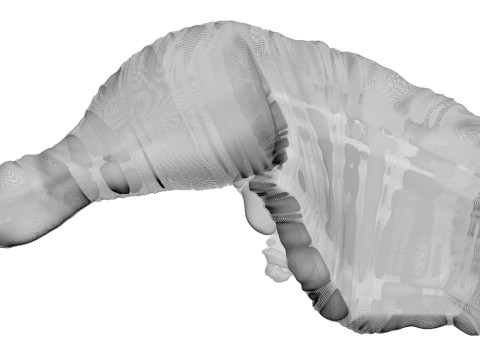 Chicken Thigh 3D Model