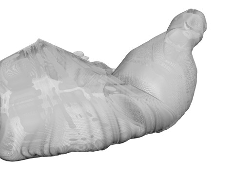 Chicken Thigh 3D Model
