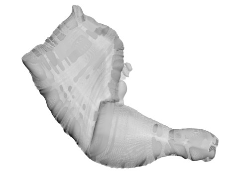 Chicken Thigh 3D Model