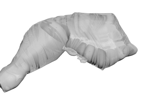 Chicken Thigh 3D Model
