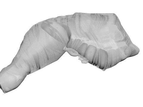 Chicken Thigh 3D Model