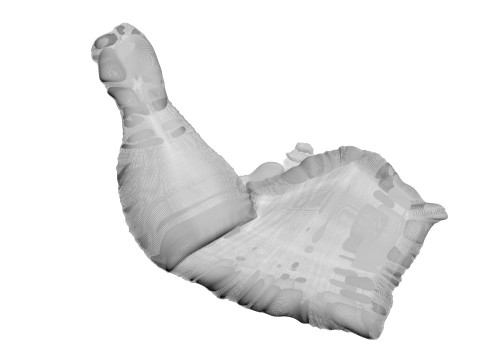 Chicken Thigh 3D Model