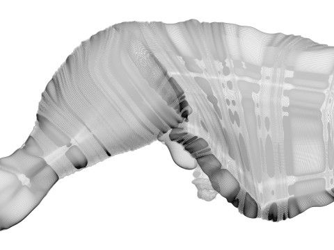 Chicken Thigh 3D Model