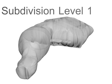 Chicken Thigh 3D Model