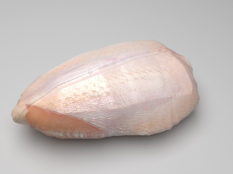 Chicken Chest 3D Model