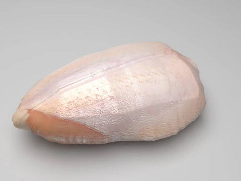 鶏胸肉 3Dモデル