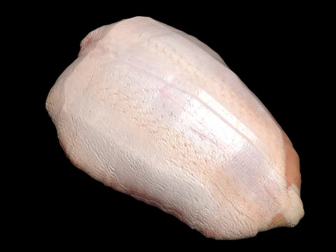 鶏胸肉 3Dモデル