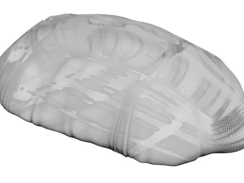 鶏胸肉 3Dモデル