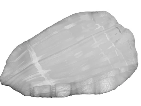 鶏胸肉 3Dモデル