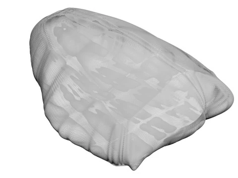 鶏胸肉 3Dモデル