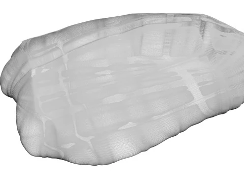 鶏胸肉 3Dモデル