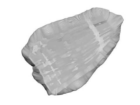 鶏胸肉 3Dモデル