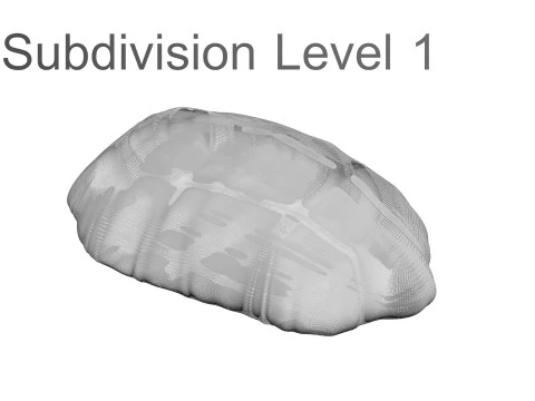 鶏胸肉 3Dモデル