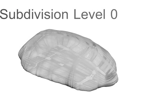 鶏胸肉 3Dモデル