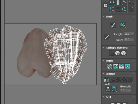 鶏胸肉 3Dモデル