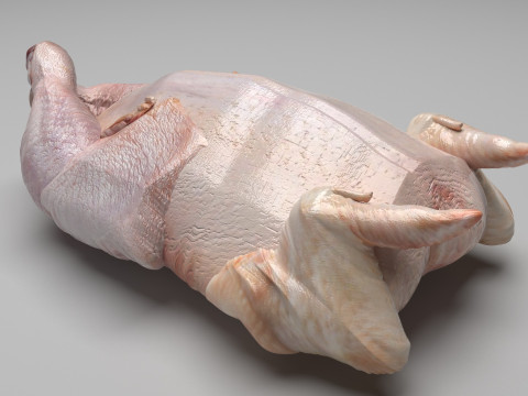 Whole Chicken 3D 모델