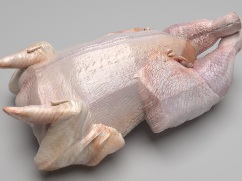 Whole Chicken Model 3D