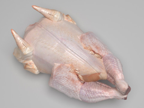 Whole Chicken Model 3D