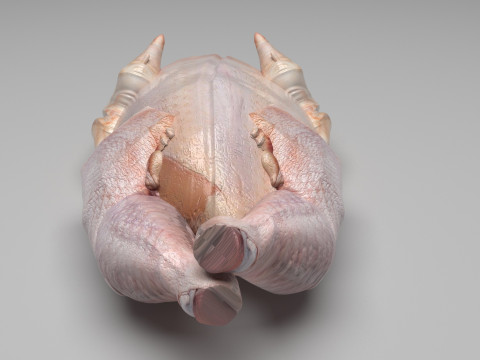 Whole Chicken Model 3D