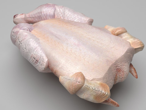 Whole Chicken Model 3D