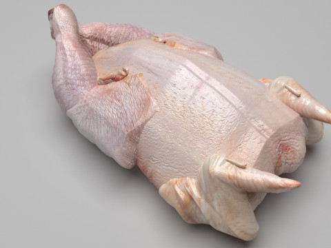 Whole Chicken Model 3D