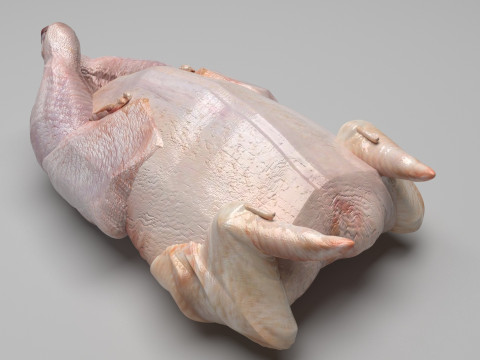 Whole Chicken Model 3D
