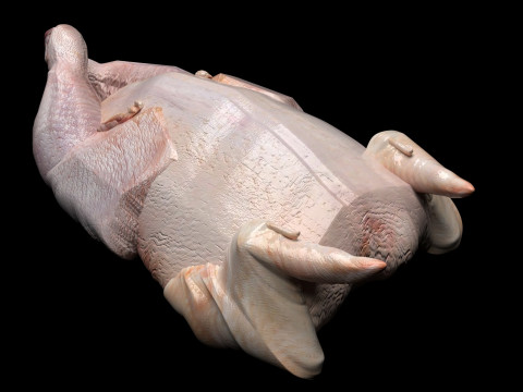 Whole Chicken Model 3D