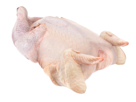 Whole Chicken Model 3D