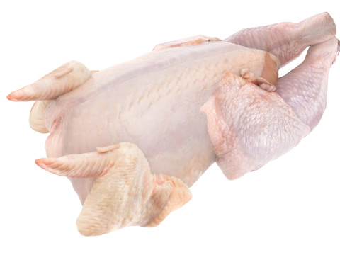 Whole Chicken Model 3D
