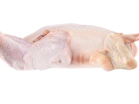 Whole Chicken Model 3D