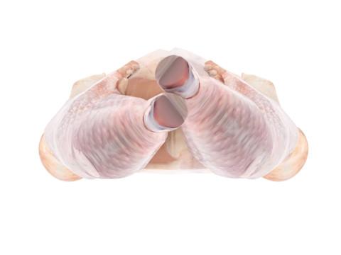 Whole Chicken Model 3D