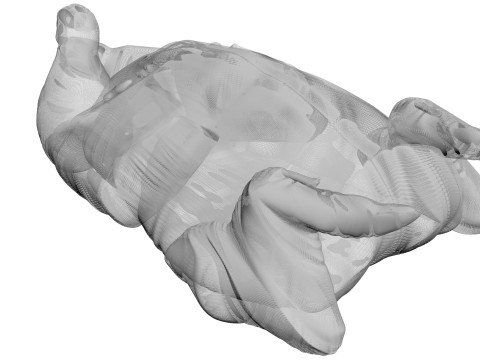 Whole Chicken Model 3D
