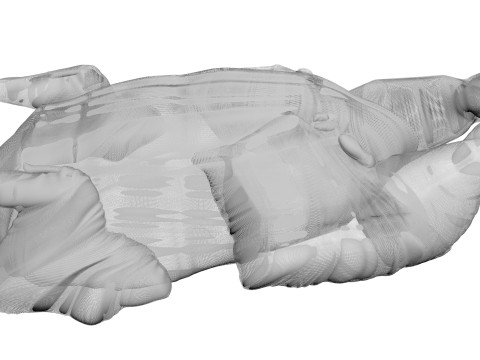 Whole Chicken Model 3D