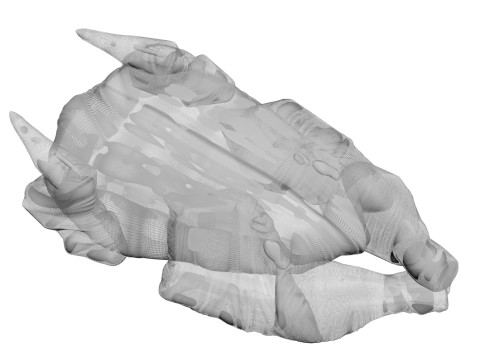 Whole Chicken Model 3D