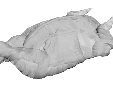 Whole Chicken Model 3D