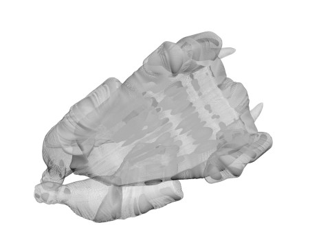 Whole Chicken Model 3D