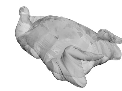 Whole Chicken Model 3D