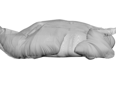 Whole Chicken Model 3D