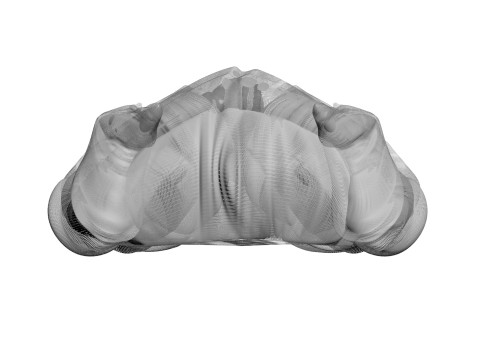 Whole Chicken Model 3D