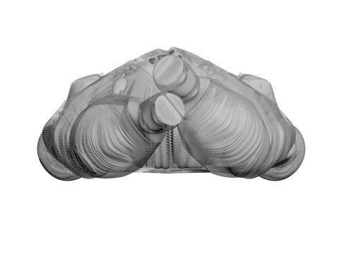 Whole Chicken Model 3D