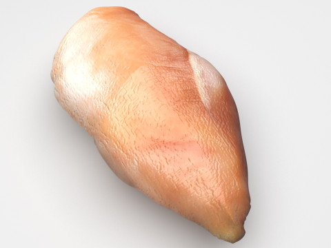 Chicken Breast 3D 모델