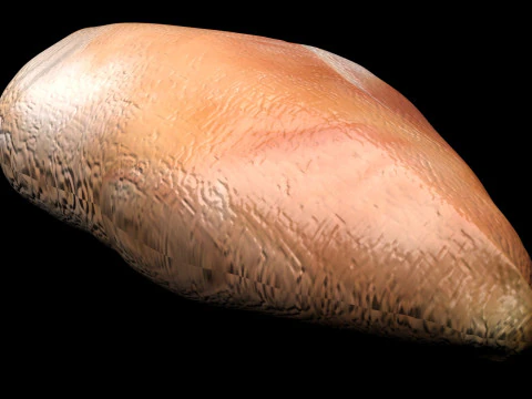 Chicken Breast 3D Model