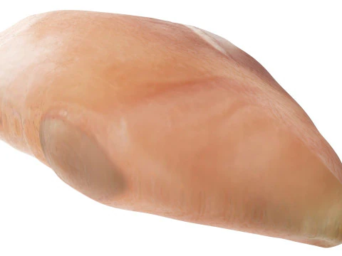 Chicken Breast 3D Model