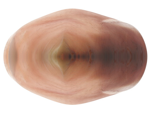 Chicken Breast 3D Модель