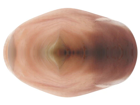 Chicken Breast 3D Model
