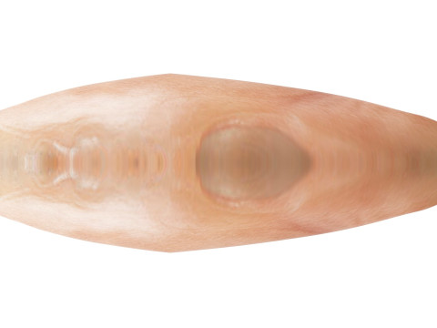 Chicken Breast 3D Модель