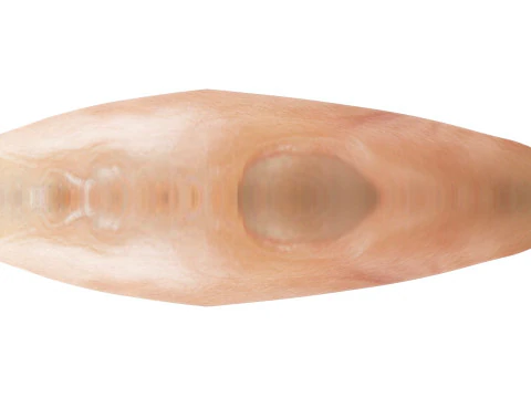 Chicken Breast 3D Model