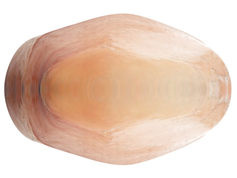 Chicken Breast 3D Модель